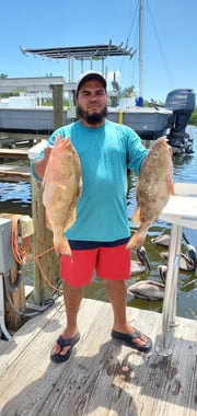 Red Grouper fishing in Fort Myers Beach, Florida