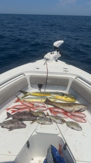 Fishing in Mount Pleasant, South Carolina