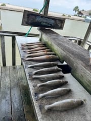 Fishing in Galveston, Texas