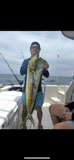Fishing in San Carlos Nuevo Guaymas, Mexico