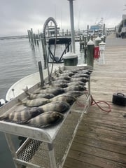 Fishing in Biloxi, Mississippi