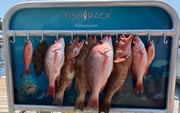 Fishing in Shalimar, Florida