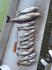 Fishing in St. Augustine, Florida