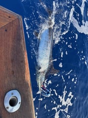 Fishing in Kaiminani, Hawaii