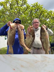 Fishing in Palmetto, Florida