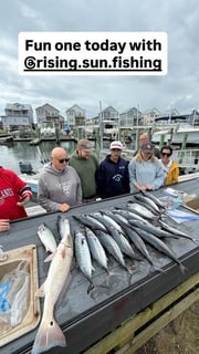 Fishing in Hampstead, North Carolina