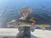 Fishing in Port Charlotte, Florida