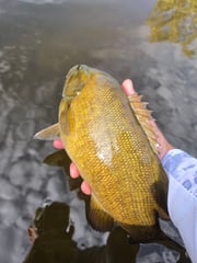 Fishing in Brainerd, Minnesota