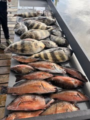 Fishing in Gautier, Mississippi