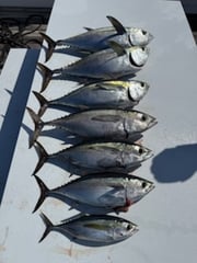 Fishing in Stuart, Florida