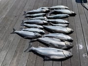 Fishing in Whitehall, Michigan