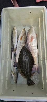 Fishing in Port Isabel, Texas