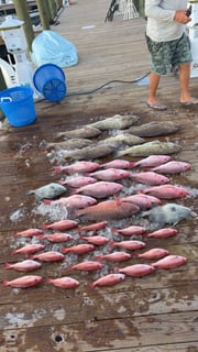 Fishing in Panama City Beach, Florida