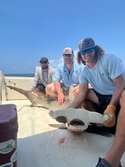 Hammerhead Shark Fishing in Port Aransas, Texas