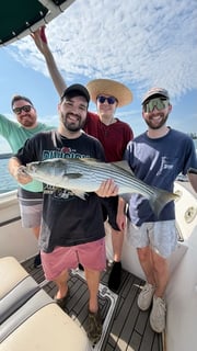 Fishing in Cumming, Georgia