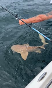 Fishing in Panama City, Florida
