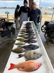 Fishing in Jacksonville, Florida