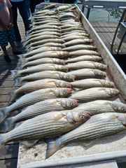 Fishing in Kingston, Oklahoma