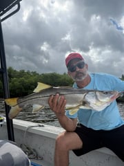Fishing in Tampa, Florida