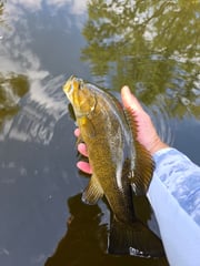 Fishing in Brainerd, Minnesota