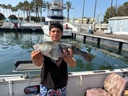 Fishing in Long Beach, California