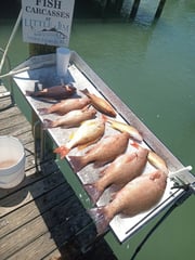 Fishing in Fort Pierce, Florida