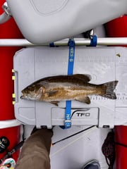 Fishing in Strasburg, Virginia