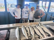 Fishing in St. Joseph, Michigan