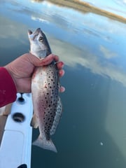 Fishing in Murrells Inlet, South Carolina