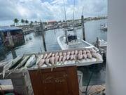 Fishing in Key West, Florida