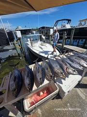 Fishing in St. Petersburg, Florida
