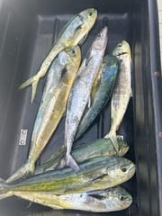 Fishing in Fort Pierce, Florida