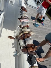 Fishing in Johns Island, South Carolina