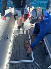 Fishing in Belleair Bluffs, Florida