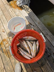 Fishing in Slidell, Louisiana