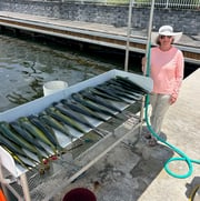 Fishing in Key West, Florida