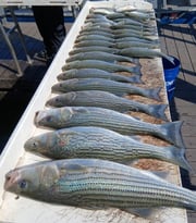 Fishing in Kingston, Oklahoma