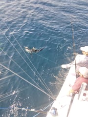 Fishing in Virginia Beach, Virginia