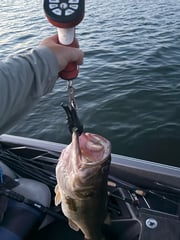 Fishing in Alba, Texas
