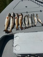 Fishing in Rockport, Texas