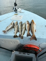 Fishing in Holmes Beach, Florida