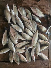 Fishing in Kingston, Oklahoma