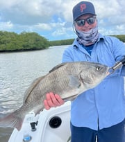 Fishing in Jerome, Florida
