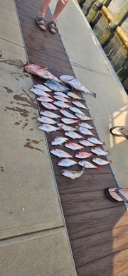 Fishing in Panama City, Florida