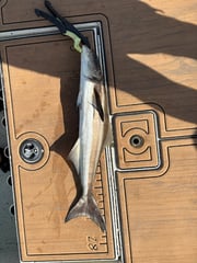 Fishing in St. Augustine, Florida