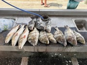 Fishing in Lake Charles, Louisiana