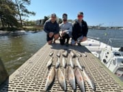 Fishing in Gulf Shores, Alabama