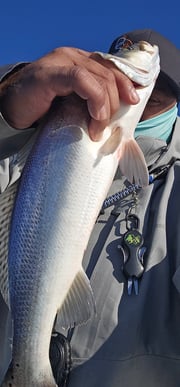 Fishing in Galveston, Texas