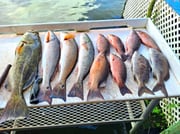 Fishing in Crystal River, Florida