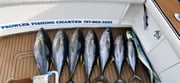 Fishing in Norfolk, Virginia